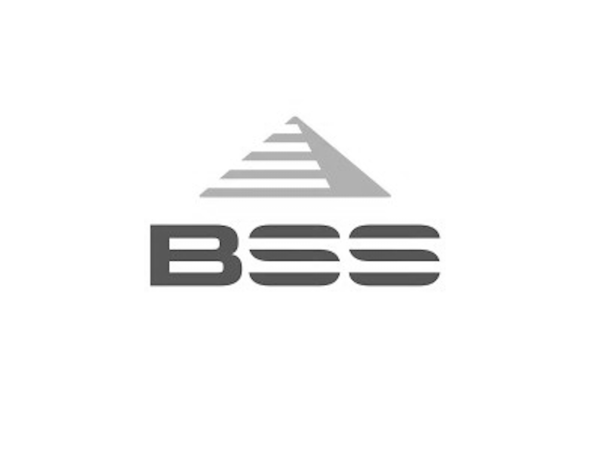 bss-web